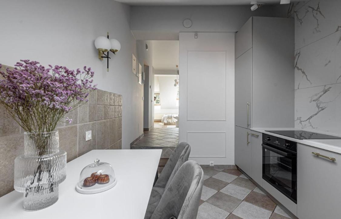 Traku Street Apartment In Вильнюс Экстерьер фото